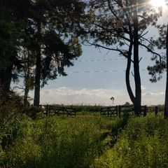 Cielooo