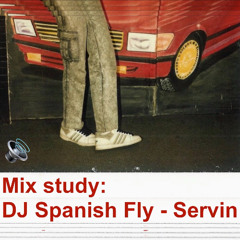 Mix study: DJ Spanish Fly - Servin