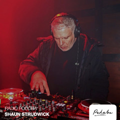 Radio Podoba 011 - Shaun Strudwick
