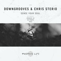 My deep/progressive/techhouse track 2de