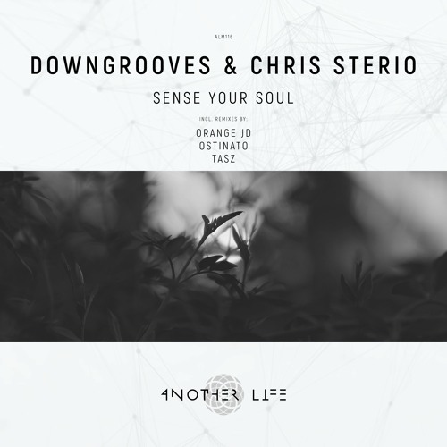 My deep/progressive/techhouse track 2de