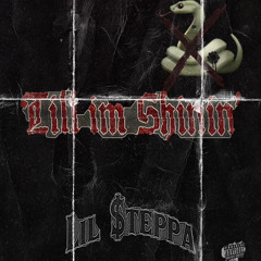 Till im Shinin'