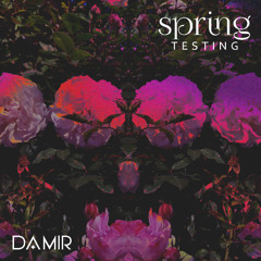 DAMIR - spring (TESTING)