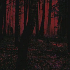 chandlier x wildflower x the cut that always bleeds