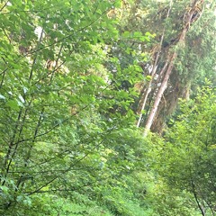 Serenity (Instrumental)