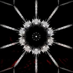 Mutiny- Perpetual Oak live at Green Elephant 12/3/25