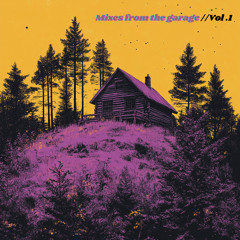 Mixes from the garage (Vol. 1)