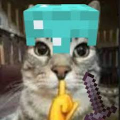 Minecraft Memphis Phonk