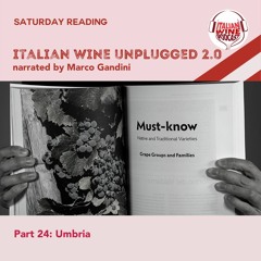 Ep. 1461 Marco Gandini Narrates Pt. 24 | Italian Wine Unplugged 2.0