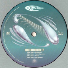Blue Vision - Brotherhood EP (PHP002)