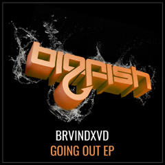 BRVINDXVD - Lose Control