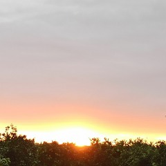 Dire straits rudj mashup