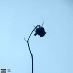 WHAT THAT MEAN? (prod+xaa+bleed)