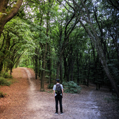 WHY Would We Choose Discipleship?