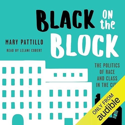⚡PDF❤ Black on the Block: The Politics of Race and Class in the City