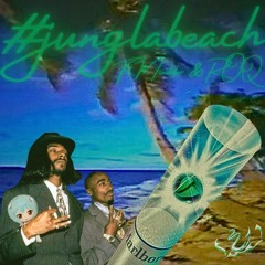 #junglabeach Ft. Mindiferx & ROQ (Version Exclusiva)