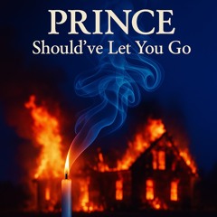 Should’ve Let You Go