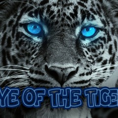 Survivor - Eye Of The Tiger Remix