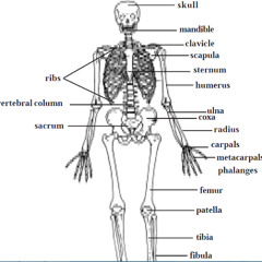 never sleep (prod. pyctur)