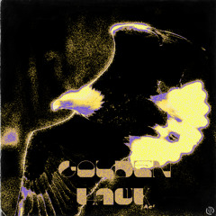 golden hawk (redux)