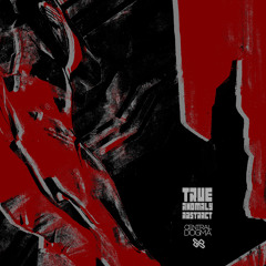 CDDREP208 : True Anomaly - Abstract (Original Mix)