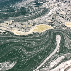 01 The View From Down Here