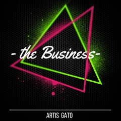 The Business (Club version) Tiësto cover