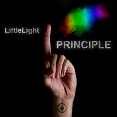 Principle