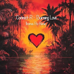 Connect-R - Burning Love (Thomas Pcz Remix) - Extended