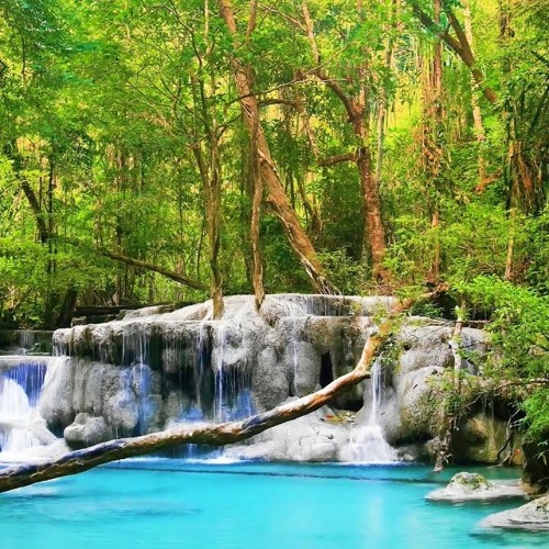 Stream Relaxing Zen Music With Water • Relax, Sleep, Spa, Yoga, Meditation - Soothing Relaxation by Soothing Relaxation | Listen online for free on SoundCloud