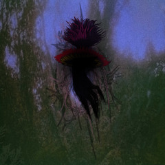 Deepfield_Master