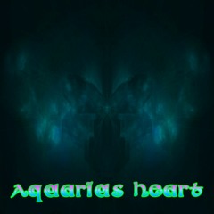 Aquarius Heart vinyl session - AFROBEAT FUNK BOSSANOVA BROKENBEAT TRIPHOP LATIN NUJAZZ DUB