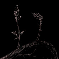 Opale (feat. Lord Spikeheart)