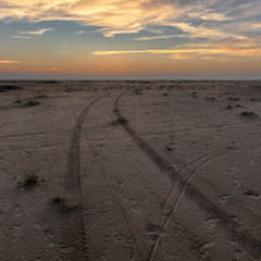 Horizonte