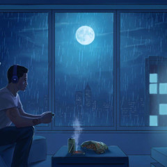 DJ SIDEWAYS - LO-FI SESSION - VINYL/DVS