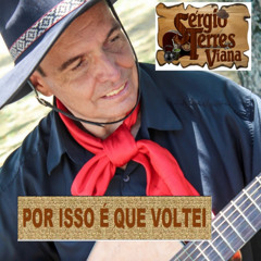 POR ISSO É QUE VOLTEI_SERGIO TERRES VIANA