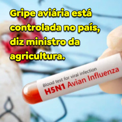 Gripe aviária está controlada no país, diz ministro da agricultura.
