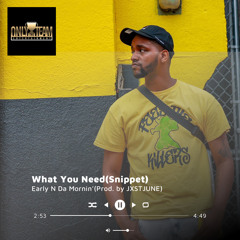 What You Need(Snippet)