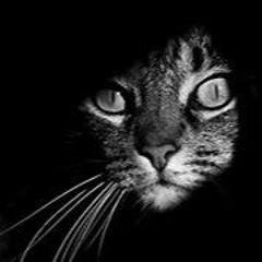 (Dj Jhalid Vargas Vip Remix) - Alive (Free Download)