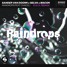 Sander Van Doorn & SELVA & MACON ft. CHACEL - Raindrops (E.N.X Remix)