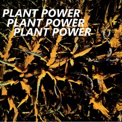 149 Plant Power