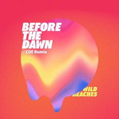 Before The Dawn (COE Remix)