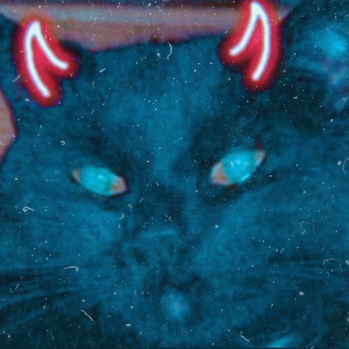 SET//447//