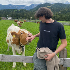 Garage Selection - Elijah