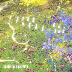 Premiere: Ams - Born Out There [soft earth]