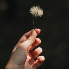 Ruth B. - Dandelions (MJ.ID Cover) ft Raffy