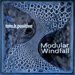Modular Windfall 03 - Recharge (Live Modular Recording)