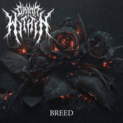 Grymm Neve - Breed