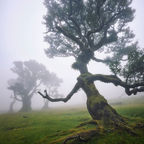 Tree Tune #WorthIt (Prod.Kyd)