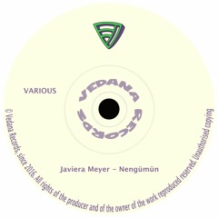Javiera Meyer - Nengümün [snippet]